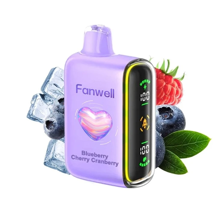 Fanwell 15000 Puffs Disposable Vape LED Indicator Dual Mesh Coil Vape