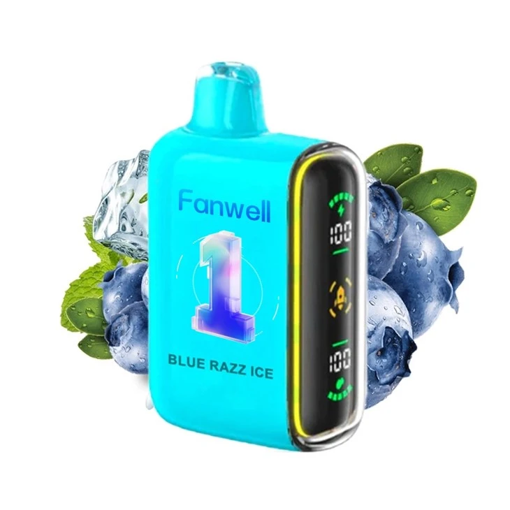Fanwell 15000 Puffs Disposable Vape LED Indicator Dual Mesh Coil Vape